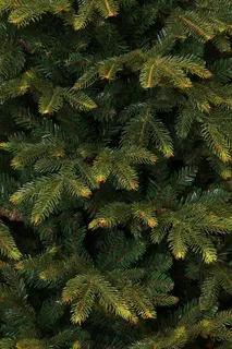 Black Box Trees Kunstkerstboom Frasier