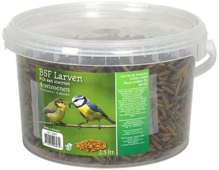 Black Soldier Fly larven voor tuinvogels