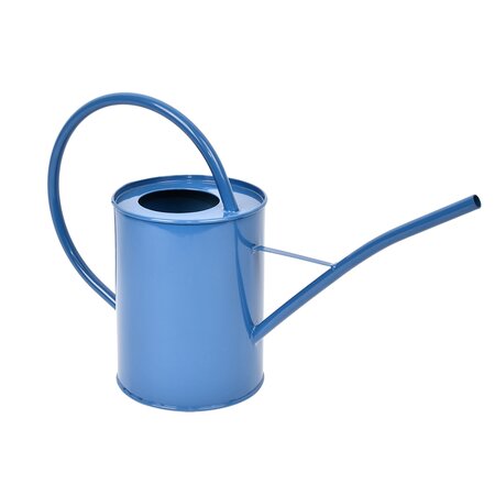 Blauwtinten indoor gieter - afbeelding 1