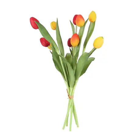 Boeket Tulpen L49 cm - Rood/Geel