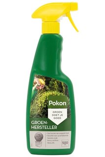 Buxus Groen 500ml