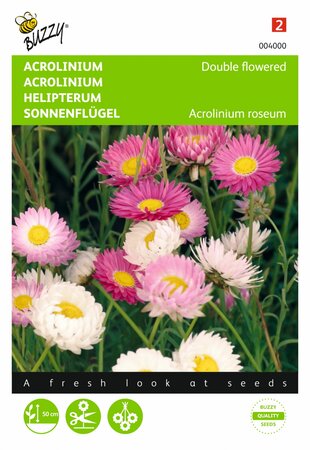 Buzzy® zaden - Acrolinium dubbelbloemig gemengd - afbeelding 1