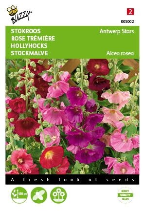 Buzzy® zaden - Althaea (Alcea), Stokroos Antwerp Stars mix - afbeelding 1