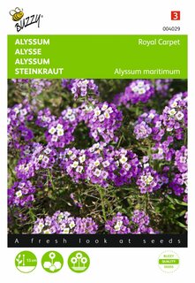 Buzzy® zaden - Alyssum Royal Carpet - afbeelding 1