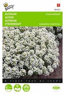 Buzzy® zaden - Alyssum Sneeuwkleed - afbeelding 1