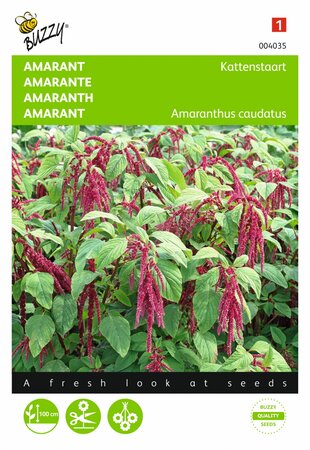 Buzzy® zaden - Amaranthus, Kattenstaart rood - afbeelding 1