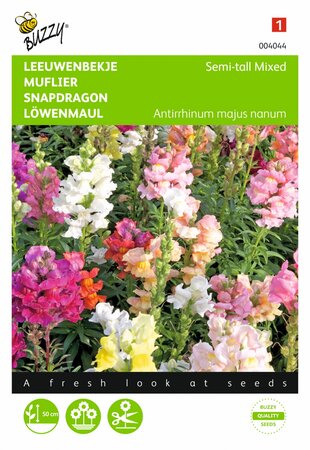 Buzzy® zaden - Antirrhinum, Leeuwenbekje half-hoog gemengd - afbeelding 1