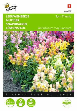 Buzzy® zaden - Antirrhinum, Leeuwenbekje Tom Thumb gemengd - afbeelding 1