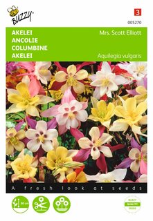 Buzzy® zaden - Aquilegia, Akelei Mrs. Scott Elliott - afbeelding 1