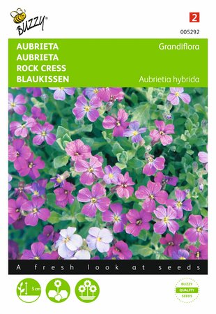 Buzzy® zaden - Aubrieta Grandiflora gemengd - afbeelding 1