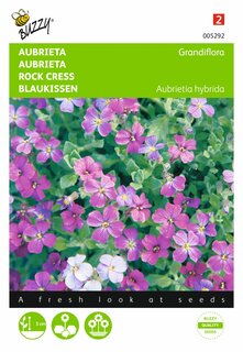 Buzzy® zaden - Aubrieta Grandiflora gemengd - afbeelding 2