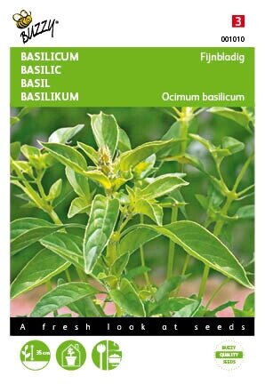 Buzzy® zaden - Basilicum Fijne - afbeelding 1