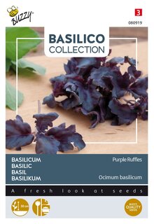 Buzzy® zaden - Basilicum Purple Ruffles - afbeelding 4
