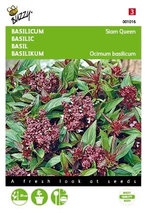 Buzzy® zaden - Basilicum Siam Queen - afbeelding 1