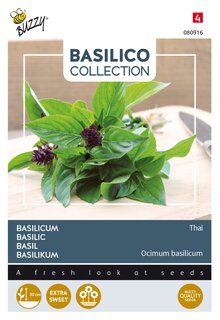 Buzzy® zaden - Basilicum Thai - afbeelding 1