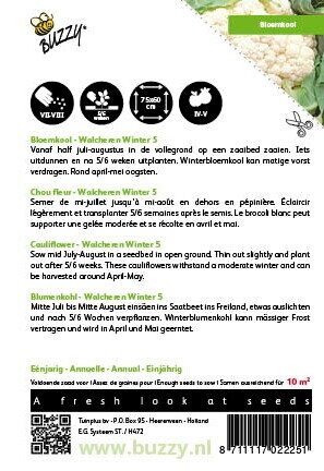 Buzzy® zaden - Bloemkool Walcheren Winter 5 - afbeelding 2