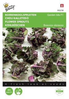 Buzzy® zaden - Boerenkoolspruitjes, Kalettes® Garden Mix F1 - afbeelding 1