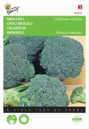 Buzzy® zaden - Broccoli Calabrese natalino, groen - afbeelding 1