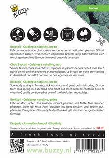 Buzzy® zaden - Broccoli Calabrese natalino, groen - afbeelding 2