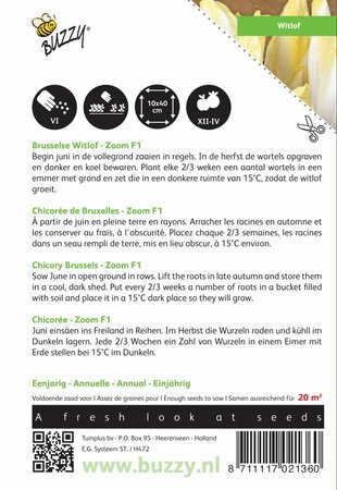 Buzzy® zaden - Brusselse Witlof Zoom F1 - afbeelding 2