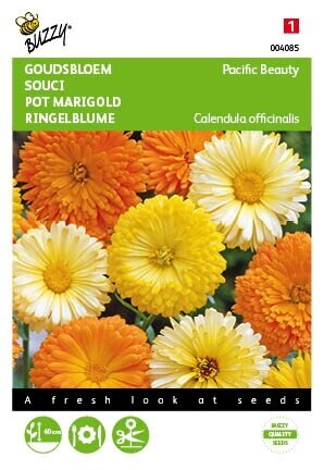 Buzzy® zaden - Calendula, Goudbloem Pacific Beauty gemengd - afbeelding 1