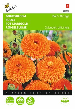 Buzzy® zaden - Calendula, Goudsbloem Ball’s Orange dubbelbloemig - afbeelding 1