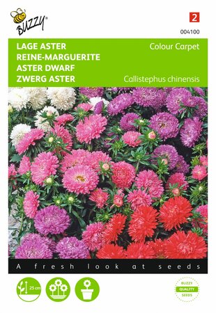 Buzzy® zaden - Callistephus, Lage Aster Colour Carpet - afbeelding 1