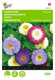 Buzzy® zaden - Callistephus, Zomeraster Pompon gemengd - afbeelding 1