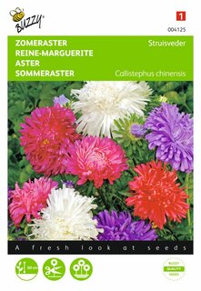 Buzzy® zaden - Callistephus, Zomeraster Struisveder gemengd - afbeelding 2