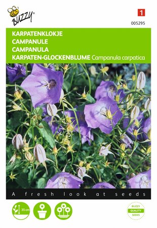 Buzzy® zaden - Campanula, Karpatenklokje Blauw - afbeelding 1