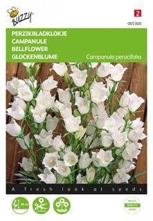 Buzzy® zaden - Campanula, Perzikbladklokje wit - afbeelding 2