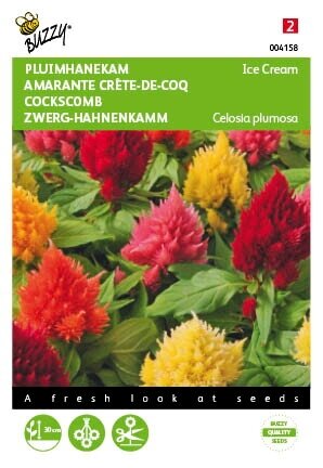 Buzzy® zaden - Celosia, Pluimhanekam Ice Cream gemengd - afbeelding 1