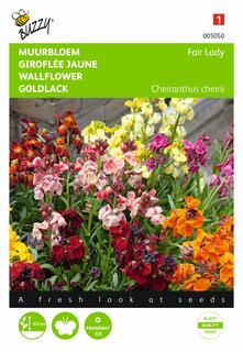 Buzzy® zaden - Cheiranthus , Muurbloem Fair Lady gemengd - afbeelding 1