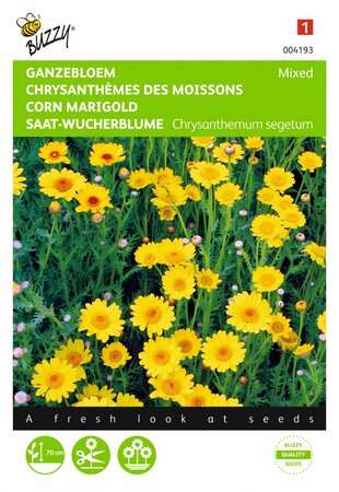 Buzzy® zaden - Chrysanthemum, Ganzebloem gele tinten gemengd - afbeelding 1