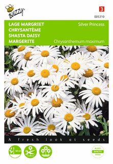 Buzzy® zaden - Chrysanthemum, Lage Margriet Silver Princess - afbeelding 2