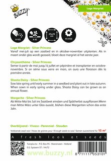 Buzzy® zaden - Chrysanthemum, Lage Margriet Silver Princess - afbeelding 2