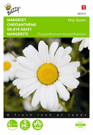 Buzzy® zaden - Chrysanthemum, Margriet May Queen - afbeelding 1