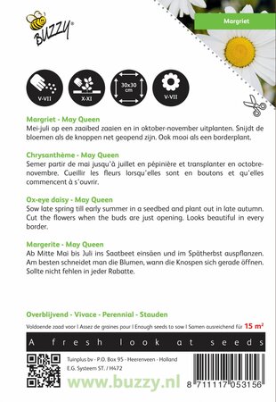 Buzzy® zaden - Chrysanthemum, Margriet May Queen - afbeelding 2