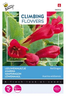 Buzzy® zaden - Climbing Flowers, Asarina, Leeuwenmuiltje Red Dragon - afbeelding 1