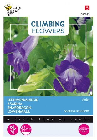 Buzzy® zaden - Climbing Flowers, Asarina Violet - afbeelding 1