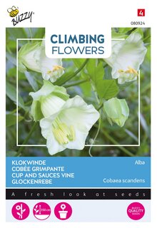 Buzzy® zaden - Climbing Flowers, Cobaea Alba Wit - afbeelding 1