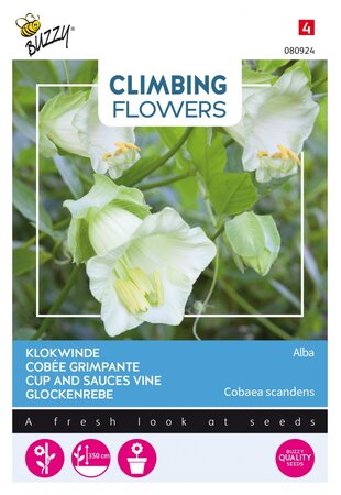 Buzzy® zaden - Climbing Flowers, Cobaea Alba Wit - afbeelding 3