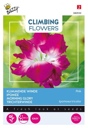 Buzzy® zaden - Climbing Flowers, Ipomoea Dubbel Rose - afbeelding 1