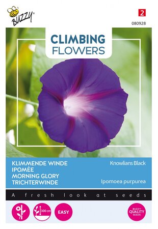 Buzzy® zaden - Climbing Flowers, Ipomoea Knowlians Black - afbeelding 1