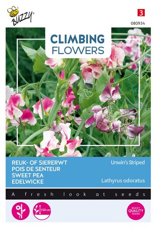 Buzzy® zaden - Climbing Flowers, Lathyrus Unwin's Striped - afbeelding 1
