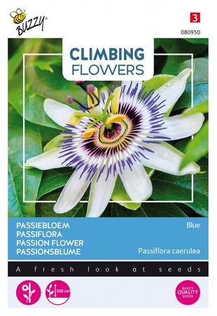 Buzzy® zaden - Climbing Flowers, Passiflora blauw - afbeelding 1
