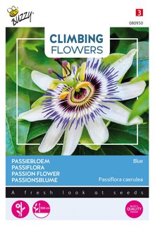 Buzzy® zaden - Climbing Flowers, Passiflora blauw - afbeelding 4