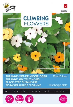 Buzzy® zaden - Climbing Flowers Thunbergia, Suzanne-met-mooie-ogen - afbeelding 1
