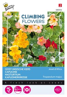 Buzzy® zaden - Climbing Flowers, Tropaeolum Jewel of Africa - afbeelding 1