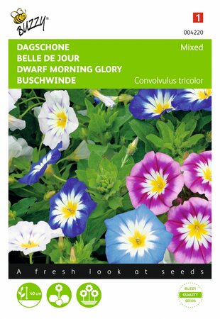 Buzzy® zaden - Convolvulus, Dagschone gemengd - afbeelding 1